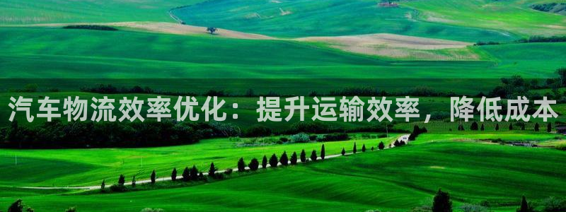 28圈注册链接：汽车物流效率优化：提