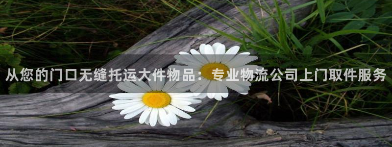 28圈平台注册：从您的门口无缝托运大