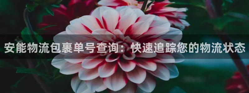 28圈注册网页版：安能物流包裹单号查