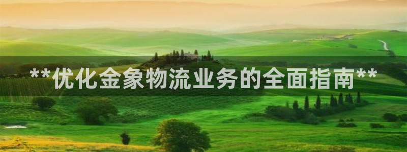 28圈电子：**优化金象物流业务的全