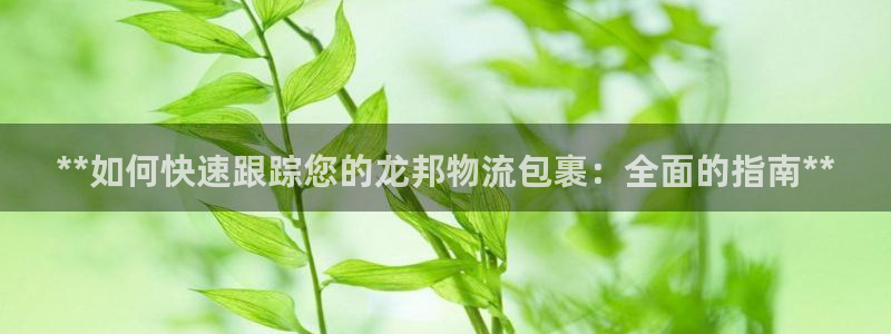 28圈的自行车：**如何快速跟踪您的