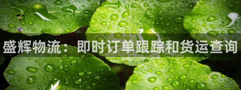 28圈提现不到账：盛辉物流：即时订单
