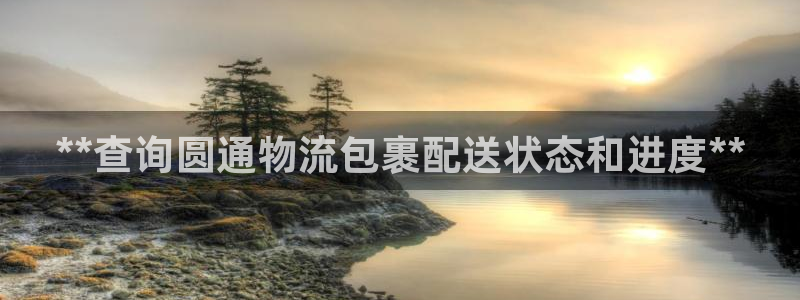 28圈登录流程：**查询圆通物流包裹