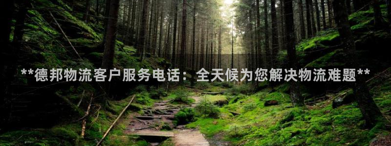 28圈是什么是赌博吗?：**德邦物流