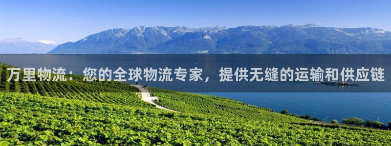 28圈.ccm2024：万里物流：您