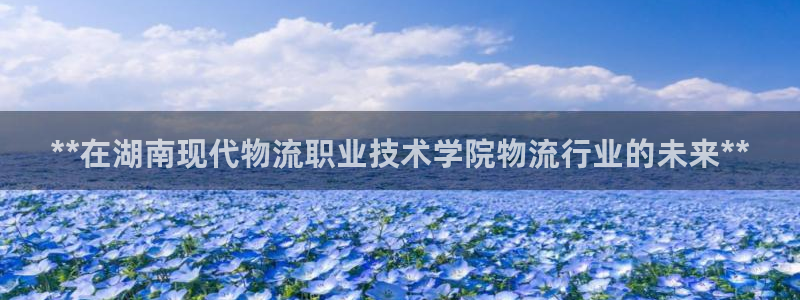 28圈加拿大在线预测：**在湖南现代