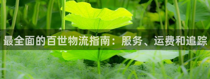 28圈黑钱：最全面的百世物流指南：服