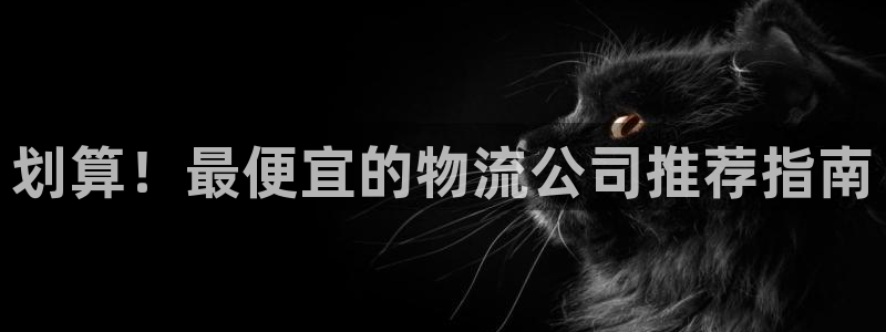 28圈登录不上咋回事：划算！最便宜的