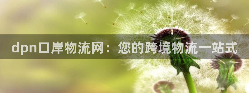 28圈下载二维码怎么弄：dpn口岸物