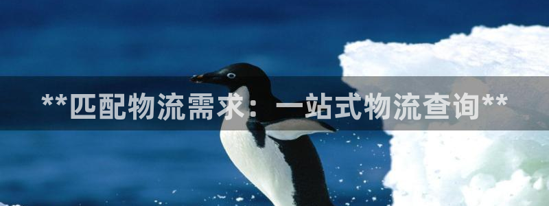 28圈官方网站是多少：**匹配物流需