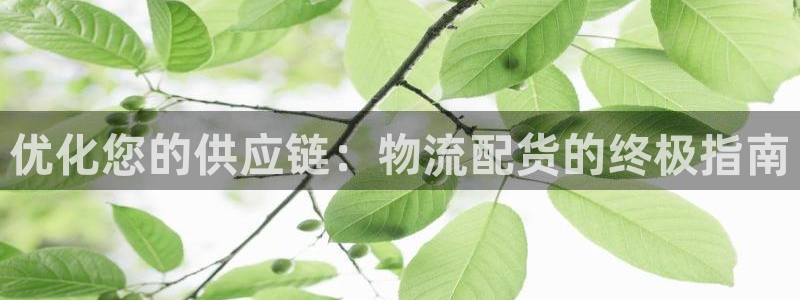 28圈分分28预测：优化您的供应链：