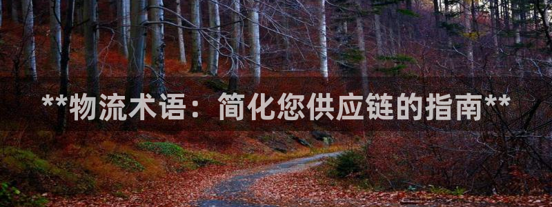 28圈自行车图片大全：**物流术语：
