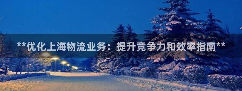28圈链官网：**优化上海物流业务：