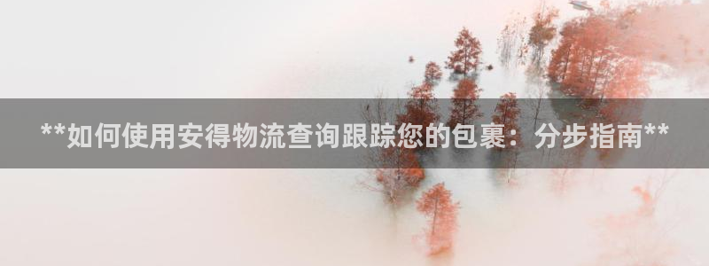 28圈注册登录：**如何使用安得物流