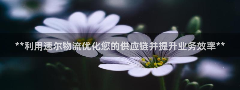 28圈注册登录：**利用速尔物流优化
