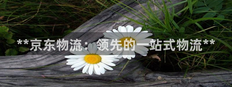 28圈免费充钱：**京东物流：领先的