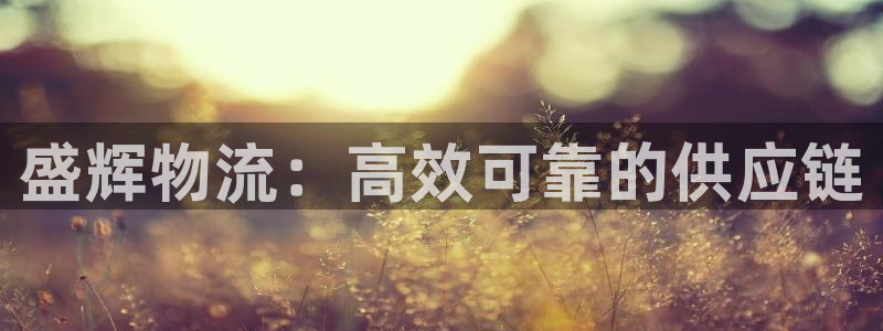 28圈预测加拿大师准：盛辉物流：高效