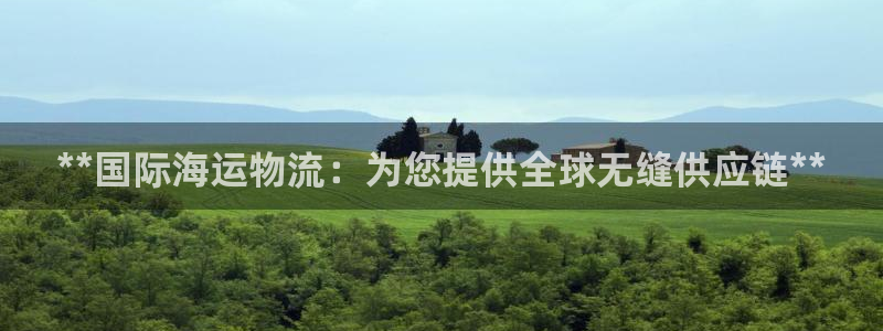 28圈p扣除：**国际海运物流：为您