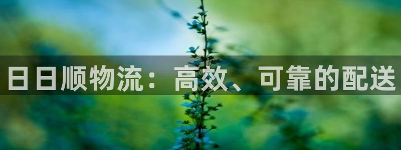 28圈p扣除：日日顺物流：高效、可靠