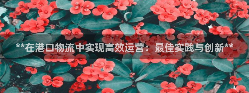 28圈可以退款吗：**在港口物流中实