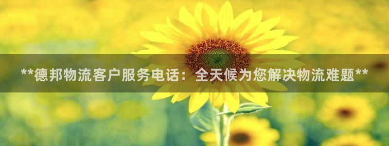 28圈软件是什么：**德邦物流客户服