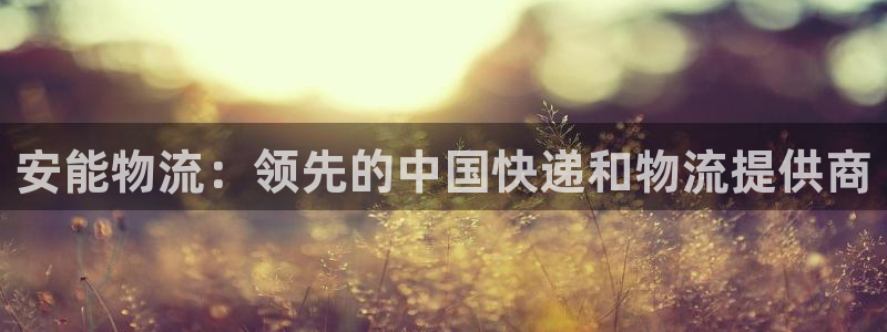 28圈充值金额随便：安能物流：领先的