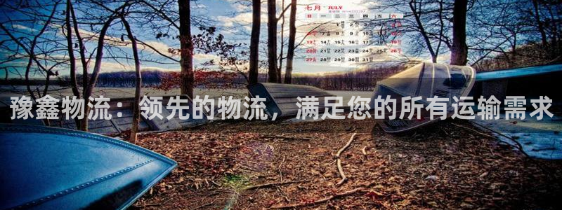 28圈官方官网版：豫鑫物流：领先的物