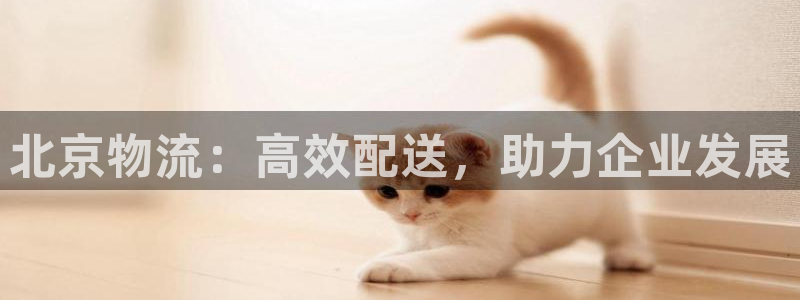 28圈在线预测：北京物流：高效配送，