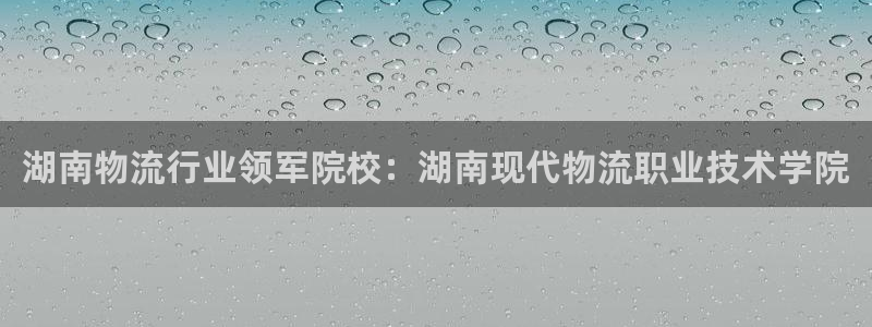 28圈官方网站预测：湖南物流行业领军