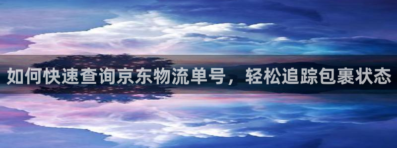 自行车28圈是什么意思：如何快速查询