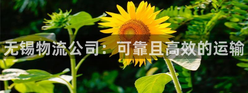 28圈比特28真实吗：无锡物流公司：