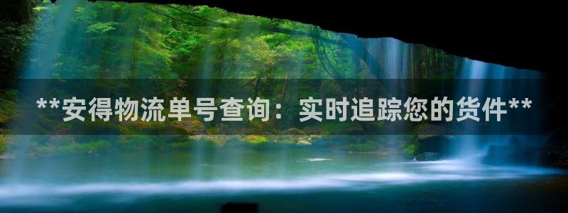 28圈ip被限制怎么解决：**安得物