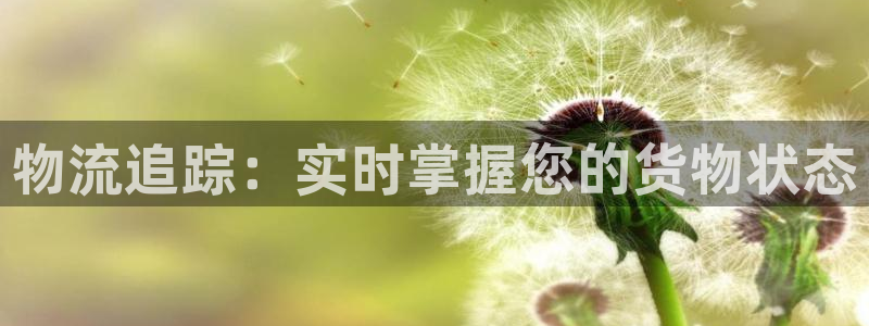 28圈注册号：物流追踪：实时掌握您的