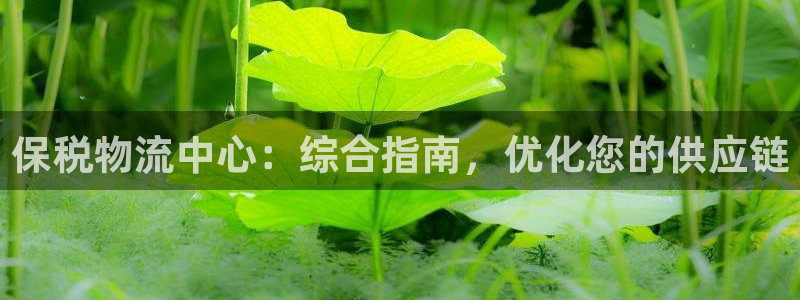 28圈机器人是什么软件：保税物流中心