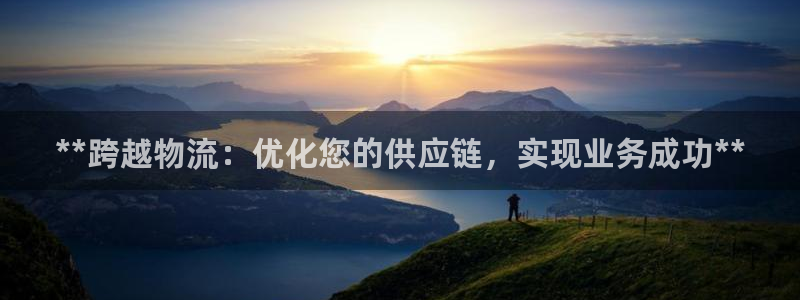 28圈登录网：**跨越物流：优化您的
