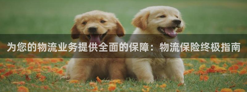 28圈机器人是什么软件