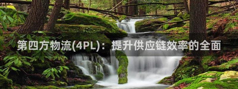 28圈退款教程：第四方物流(4PL)