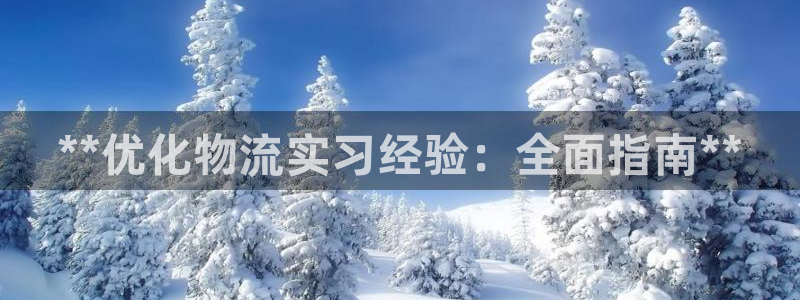 28圈模拟器在线玩：**优化物流实习
