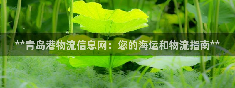 28圈加拿大：**青岛港物流信息网：