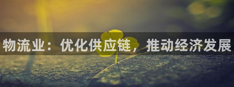 28圈p扣除是什么意思：物流业：优化