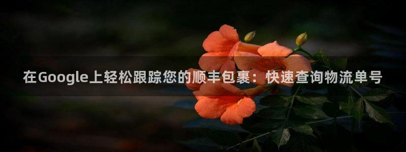 28圈比特28真实吗：在Google