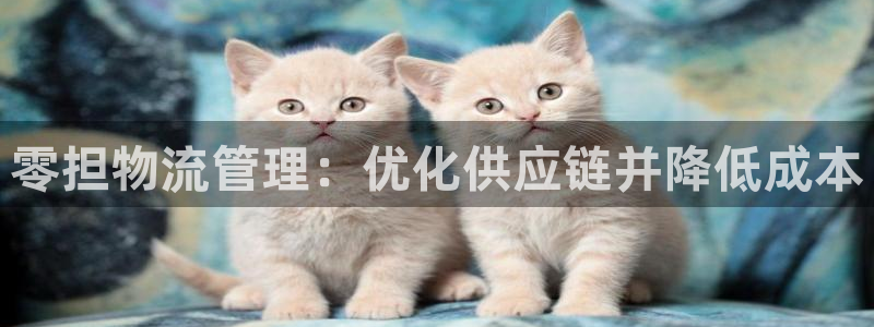 28圈口：零担物流管理：优化供应链并
