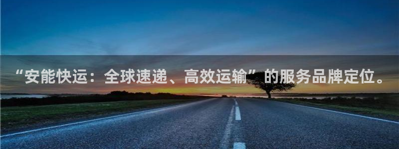 28圈官方版正版：“安能快运：全球速