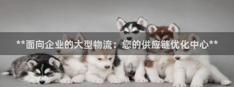 28圈pg麻将胡了：**面向企业的大