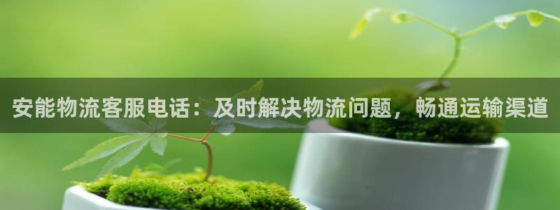 28圈官网下载链接是什么：安能物流客