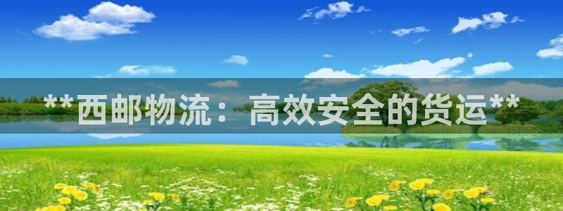 28圈大神预测：**西邮物流：高效安