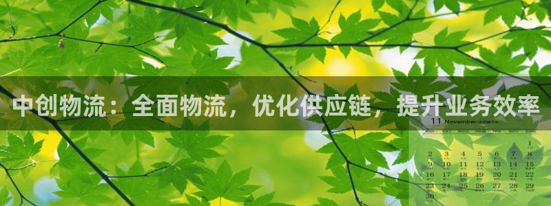 28圈注册链接教程：中创物流：全面物