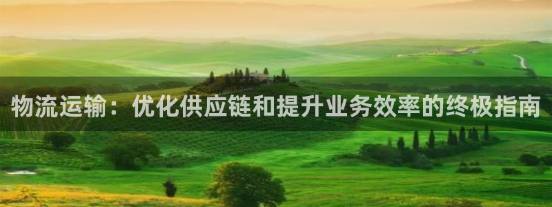 28圈.ccm：物流运输：优化供应链