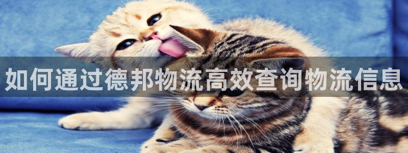 28圈注册用户名是什么：如何通过德邦