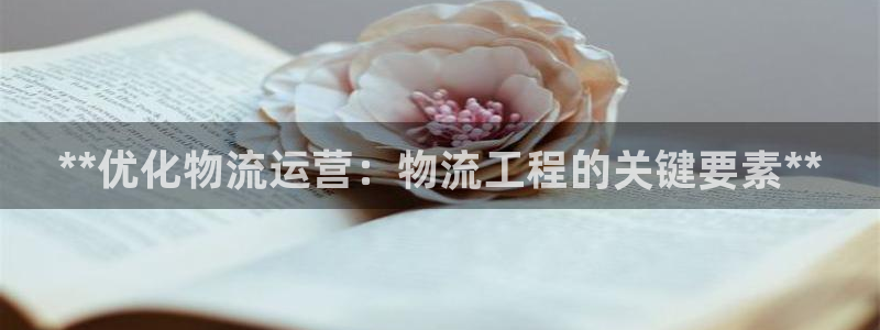 28圈是什么是赌博吗?